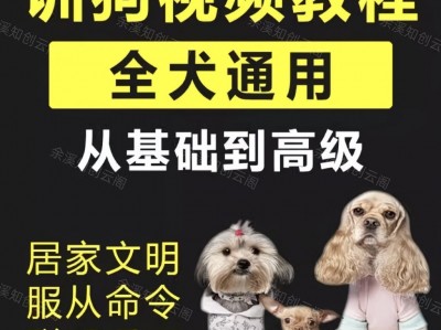养了3年狗，花了6000块送去训狗学校，不如这套视频教程管用（全犬通用）